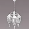 Стеклянный уличный светильник подвесной  83470L/3 W прозрачный Oasis Light Стеклянный уличный светильник подвесной  83470L/3 W прозрачный Oasis Light