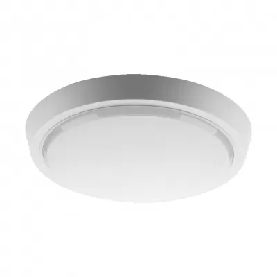 Настенно-потолочный светильник  DBO01-25-4K Wolta