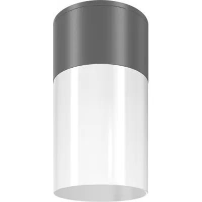 Потолочный светильник уличный Willis O418CL-01GR Maytoni