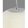 Стеклянный подвесной светильник Arden V11344-1P белый конус