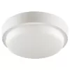 Настенно-потолочный светильник  LCL04-18W-R21-6K-SM Wolta