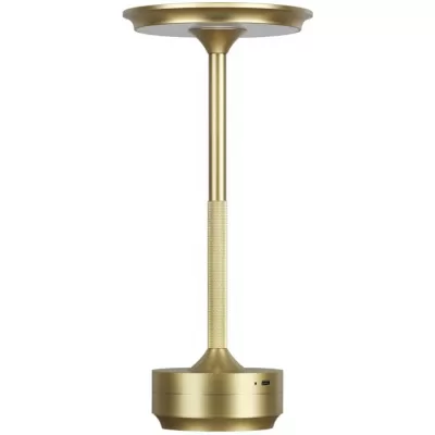 Интерьерная настольная лампа Tet-A-Tet 5033/6TL Odeon Light