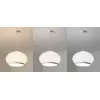 Подвесной светильник 8610P 8610P/B LED white белый DeLight Collection