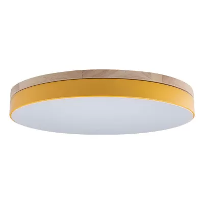 Потолочный светильник Axel 10001/36 Yellow Loft It