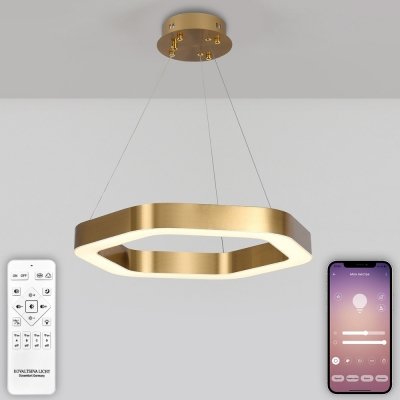 Подвесной светильник Led series 722 HIGH-TECH LED LAMPS 82058 Natali Kovaltseva дизайнерский