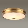 Стеклянный настенно-потолочный светильник Marsei 4824/4C белый Odeon Light