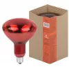 Лампочка инфракрасная  ИКЗК 220-250 R127 ЭРА