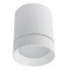 Точечный светильник Elle A1949PL-1WH цилиндр белый Artelamp