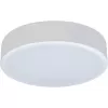 Потолочный светильник Axel 10002/12 White белый Loft It