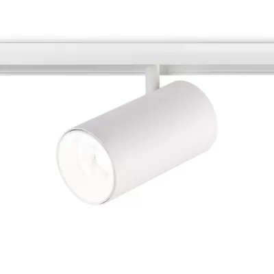 Трековый светильник TRACK SYSTEM GL3845 Ambrella