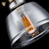 Стеклянный подвесной светильник Irving T163-11-C Maytoni