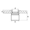 Спот FORTE INCA 213829 черный цилиндр Lightstar