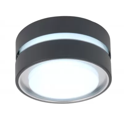 Потолочный светильник уличный  3351S Gr Oasis Light