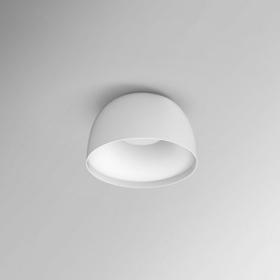 Настенно-потолочный светильник  BRIM01 ImperiumLoft