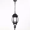 Стеклянный уличный светильник подвесной  83405L Bl прозрачный Oasis Light