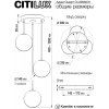 Подвесной светильник Адам Смарт CL228A031 форма шар белый Citilux