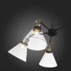 Стеклянная подвесная люстра Evoluto SL237.413.05 конус прозрачная ST Luce