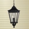 Стеклянный уличный светильник подвесной Cotswold Lane FE-COTSLN8-L-BK прозрачный конус Feiss