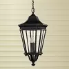 Стеклянный уличный светильник подвесной Cotswold Lane FE-COTSLN8-L-BK прозрачный конус Feiss