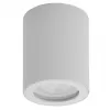 Точечный светильник DK3007 DK3007-WH белый Denkirs