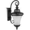 Стеклянный настенный фонарь уличный ELBA 86402 Bl Oasis Light