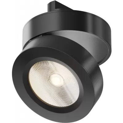 Трековый светильник Magic TR006-1-12W3K-B Maytoni