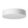 Потолочный светильник Bart CL755290 белый Citilux