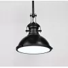 Подвесной светильник Eligio LDP 6863-1 BK+WT черный Lumina Deco