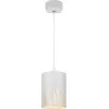 Подвесной светильник  PL30 WH белый цилиндр ЭРА