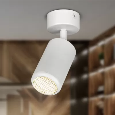 Спот OL55 WH OL55 WH ЭРА