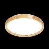 Настенно-потолочный светильник Woodi 3019/EL белый Sonex