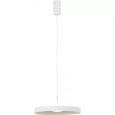 Подвесной светильник Caspio 4045/01/02P Stilfort Подвесной светильник Caspio 4045/01/02P Stilfort