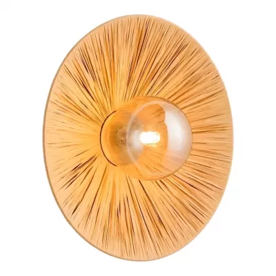 Настенный светильник Sunflower LSP-5009 Lussole