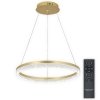 Подвесной светильник Day LED LAMPS 81486 прозрачный Natali Kovaltseva