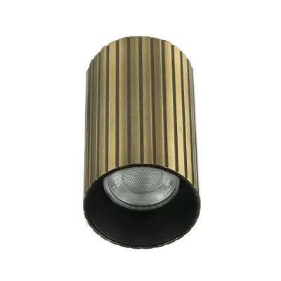 Точечный светильник Axel CL512113R Citilux