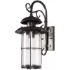 Стеклянный настенный фонарь уличный Palermo 100015W цилиндр прозрачный Loft It