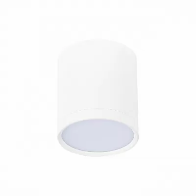 Точечный светильник Rene ST113.542.05 ST Luce