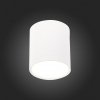 Точечный светильник Rene ST113.542.05 цилиндр белый ST Luce