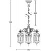 Стеклянный уличный светильник подвесной DELI S 89970S/3 Bl прозрачный Oasis Light