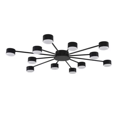 Потолочная люстра Torina 8344/12C Lumion Потолочная люстра Torina 8344/12C Lumion