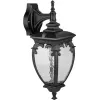 Стеклянный настенный фонарь уличный VERONA 86202/04 Bl прозрачный Oasis Light Стеклянный настенный фонарь уличный VERONA 86202/04 Bl прозрачный Oasis Light