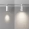 Трековый светильник Focus Zoom TR212-4-12WTW-DD2-Z-W цилиндр белый Maytoni
