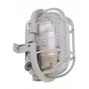 Стеклянный настенный светильник уличный Syrma 401013 прозрачный Deko-Light