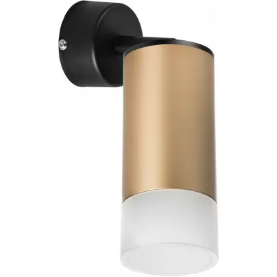 Спот Rullo RB44031 Lightstar для натяжного потолка
