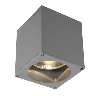 Потолочный светильник уличный Big 229554 SLV