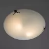 Стеклянный настенно-потолочный светильник Plain A3720PL-3CC белый Artelamp Стеклянный настенно-потолочный светильник Plain A3720PL-3CC белый Artelamp