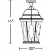 Стеклянный потолочный светильник уличный ASTORIA 2M 91405MA Bl овал прозрачный Oasis Light