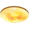 Настенно-потолочный светильник Sun 7726/DL Sonex