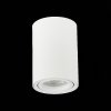 Точечный светильник Torus ST108.507.01 цилиндр белый ST Luce