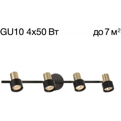 Спот Sat CL505641 Citilux